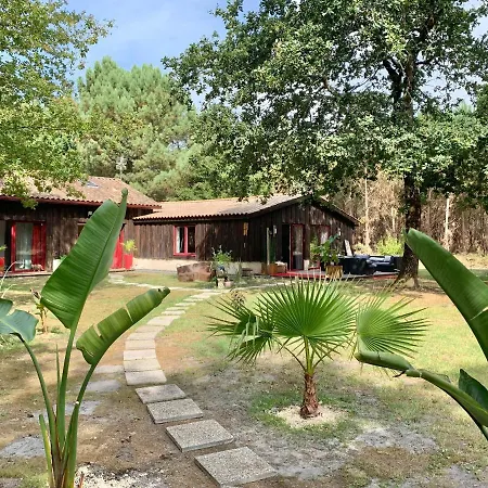 House De La Canopee, Swimming Pool, Lake, Forest, Large Garden And Wifi