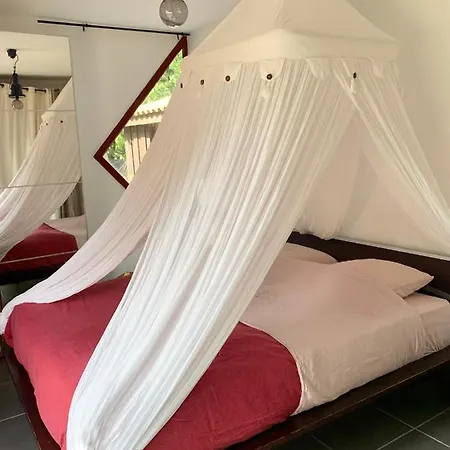House De La Canopee, Swimming Pool, Lake, Forest, Large Garden And Wifi Hourtin
