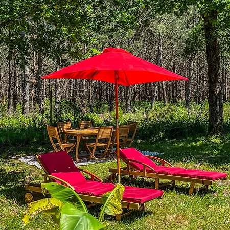 Feriehus House De La Canopee, Swimming Pool, Lake, Forest, Large Garden And Wifi