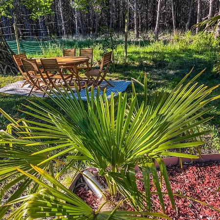 House De La Canopee, Swimming Pool, Lake, Forest, Large Garden And Wifi