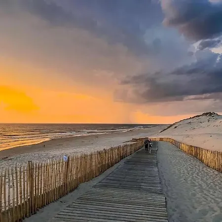 Feriehus House De La Canopee, Swimming Pool, Lake, Forest, Large Garden And Wifi *