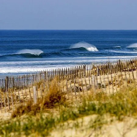 House De La Canopee, Swimming Pool, Lake, Forest, Large Garden And Wifi Hourtin