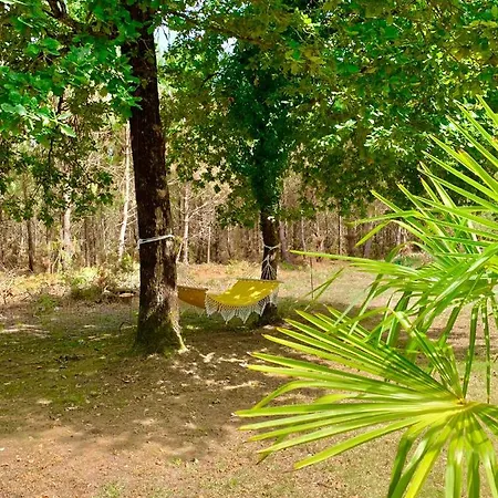 House De La Canopee, Swimming Pool, Lake, Forest, Large Garden And Wifi * Hourtin