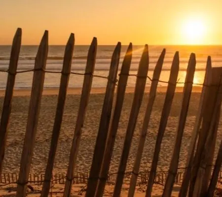 House De La Canopee, Swimming Pool, Lake, Forest, Large Garden And Wifi Holiday home Hourtin