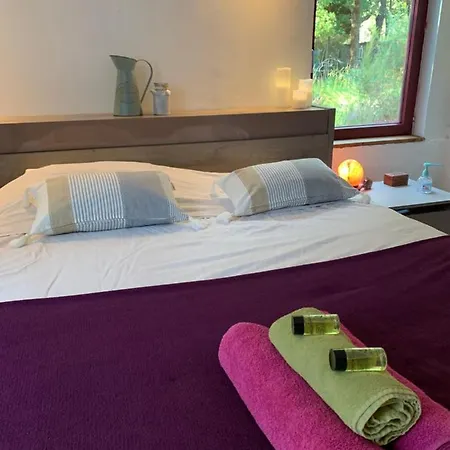 House De La Canopee, Swimming Pool, Lake, Forest, Large Garden And Wifi