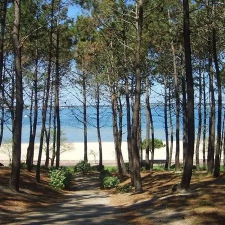 House De La Canopee, Swimming Pool, Lake, Forest, Large Garden And Wifi