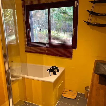 House De La Canopee, Swimming Pool, Lake, Forest, Large Garden And Wifi Hourtin