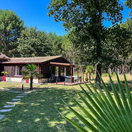 House De La Canopee, Swimming Pool, Lake, Forest, Large Garden And Wifi Hourtin