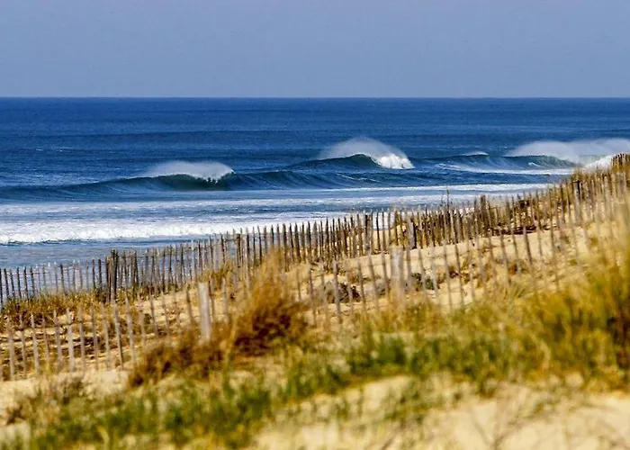 House De La Canopee, Swimming Pool, Lake, Forest, Large Garden And Wifi 우르탱