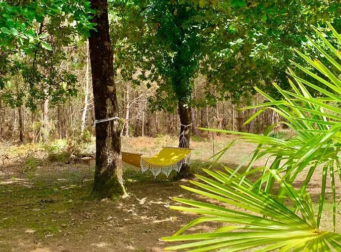 House De La Canopee, Swimming Pool, Lake, Forest, Large Garden And Wifi * 우르탱