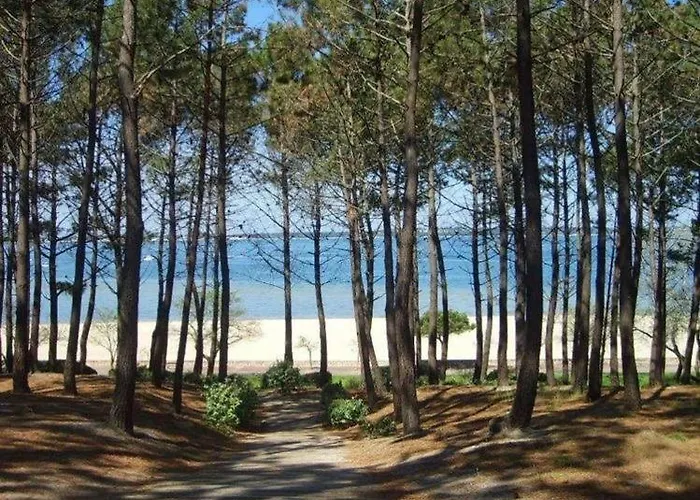 House De La Canopee, Swimming Pool, Lake, Forest, Large Garden And Wifi